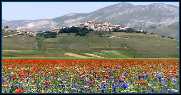 http://turismo.leoblog.it/wp-content/uploads/2013/04/Fioritura-di-Castelluccio-di-Norcia-a25854189.jpg